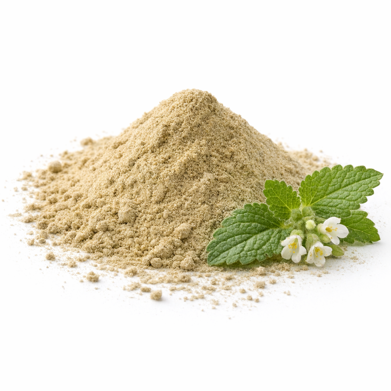 lemon balm extract powder, natural herb used in Refix to support relaxation and sleep